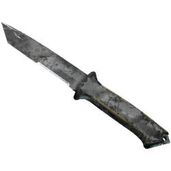 Bear knife (★) | Urban Camouflage (Scarred by War)