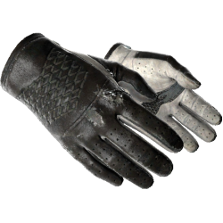 Driving gloves (★) | Suit and Leather (Battle-hardened)